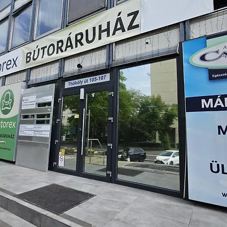 بيت شباب Hamilton